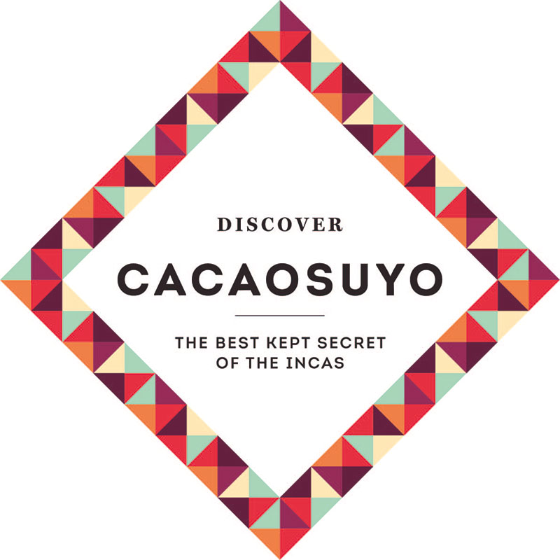 Résultat de recherche d'images pour "cacaosuyo logo"