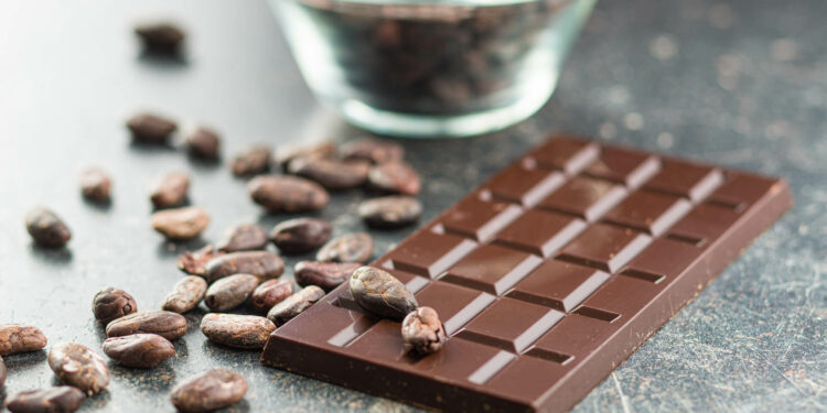 Bean to Bar Schokolade: Nachhaltiger TOP-Genuss aus einer Hand