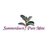Summerdown Pure Mint