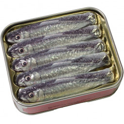 Sardines from milk chocolate in a can