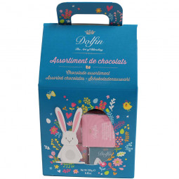 Napolitains de chocolat lapin de Pâques dans un sac cadeau