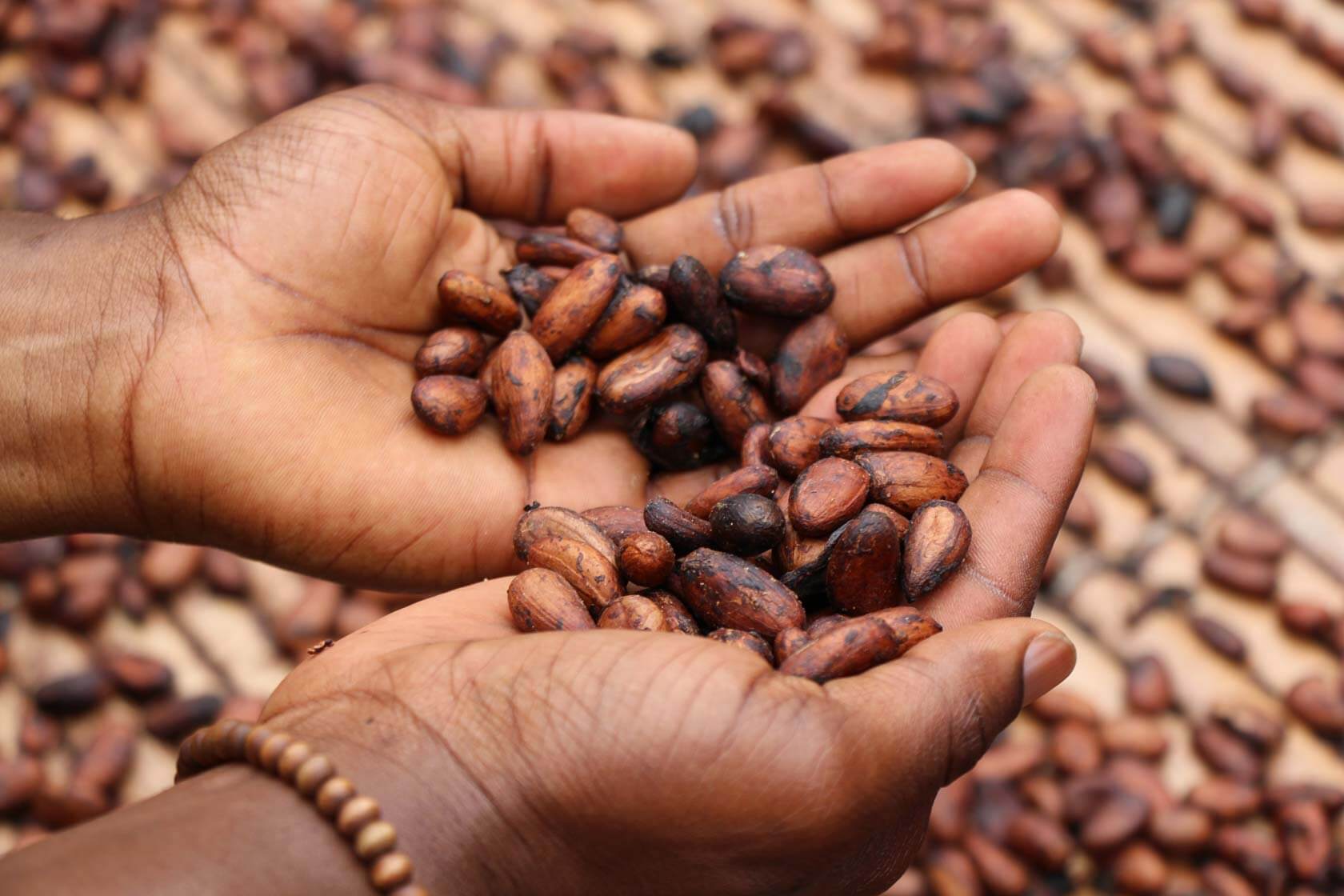 Beurre de cacao brut - Martinique / Guadeloupe / Guyane